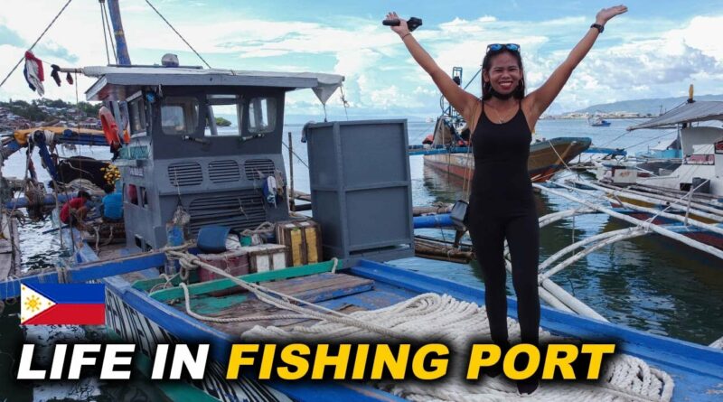 Die Philippinen im Video - Das Leben im Fischereihafen