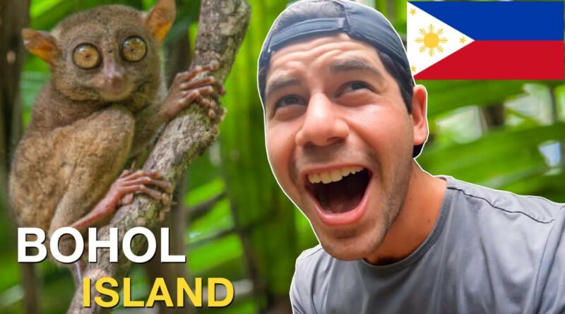 Die Philippinen im Video - Mein neues Lieblingstier - Tariser auf der Insel Bohol