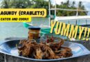 Die Philippinen im Video - Kleine Krebse fangen und kochen in Abra de Ilog