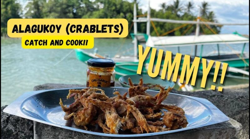 Die Philippinen im Video - Kleine Krebse fangen und kochen in Abra de Ilog