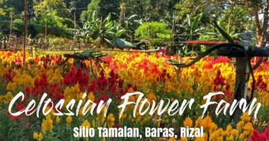 Die Philippinen im Video - Celossian Flower Farm im Video