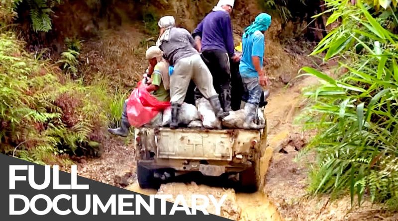 Die Philippinen im Video - Tödliche Straßen | Philippinen: Der Mensch und der Monsun