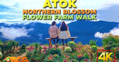 Die Philippinen im Video - Northern Blossom Flower Farm in Atok Benguet
