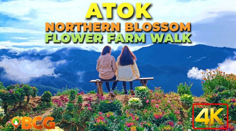 Die Philippinen im Video - Northern Blossom Flower Farm in Atok Benguet