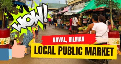 Die Philippinen im Video - Auf dem öffentlichen Markt von Naval