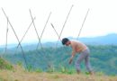 Die Philippinen im Video - Ich pflanzte grüne Bohnen in den Bergen und wartete zwei Monate auf die Ernte | Philippinisches Landleben