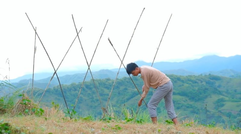 Die Philippinen im Video - Ich pflanzte grüne Bohnen in den Bergen und wartete zwei Monate auf die Ernte | Philippinisches Landleben