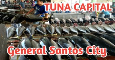 Die Philippinen im Video - Thunfischhauptstadt der Philippinen General Santos