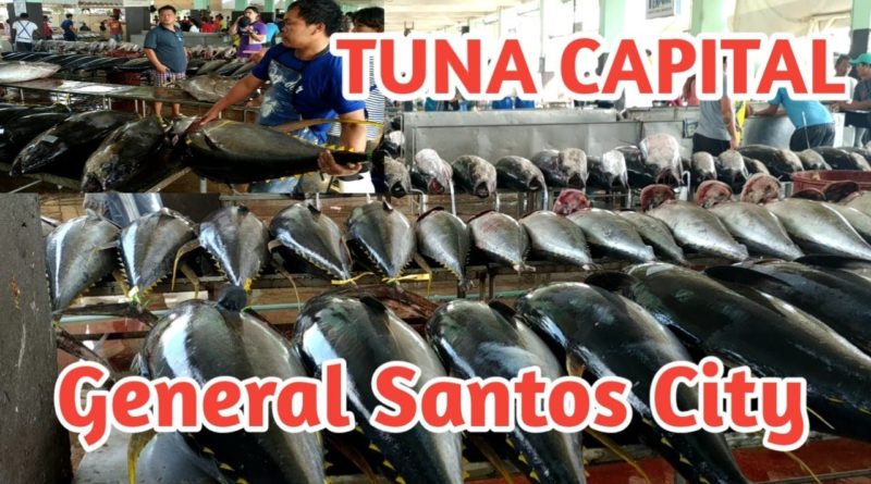 Die Philippinen im Video - Thunfischhauptstadt der Philippinen General Santos