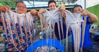 Die Philippinen im Video - 200 Kilo Fisch!! UNSEEN FILIPINO SEAFOOD