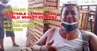 Die Philippinen im Video - Auf dem Gemüsegrosshandel-Markt in Bulua