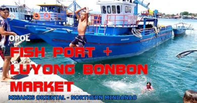 Die Philippinen im Video - OPOL FISH PORT & LUYONG BONBON MARKET in Misamis Oriental