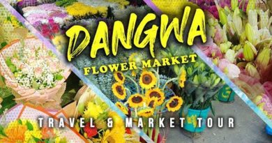 Die Philippinen im Video - Dangwa Flower Market in Manila