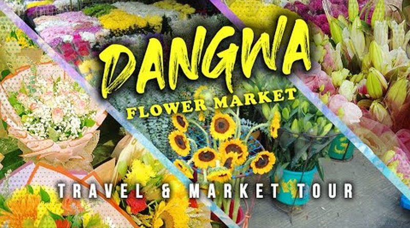 Die Philippinen im Video - Dangwa Flower Market in Manila